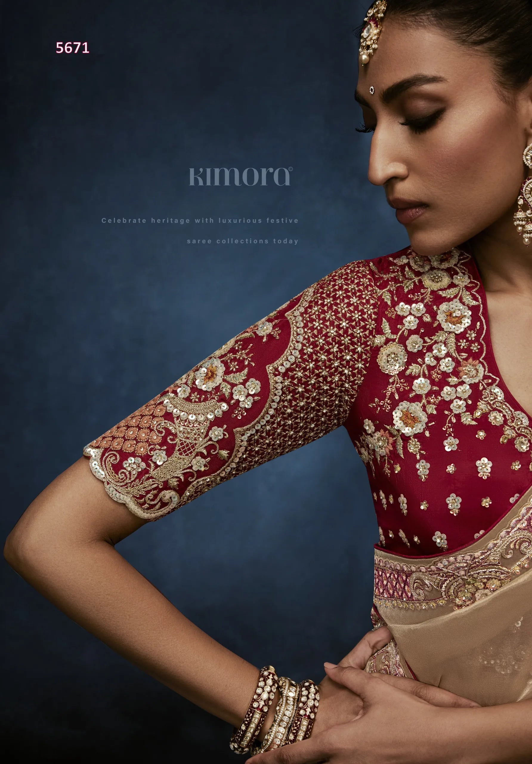 Champagne Luxe Fancy Tissue Saree with Zardozi Scroll Border & Crimson Ready Blouse