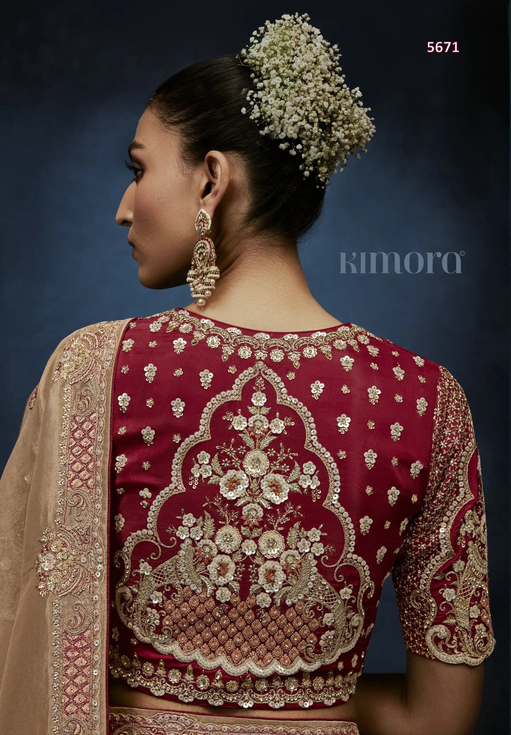 Champagne Luxe Fancy Tissue Saree with Zardozi Scroll Border & Crimson Ready Blouse