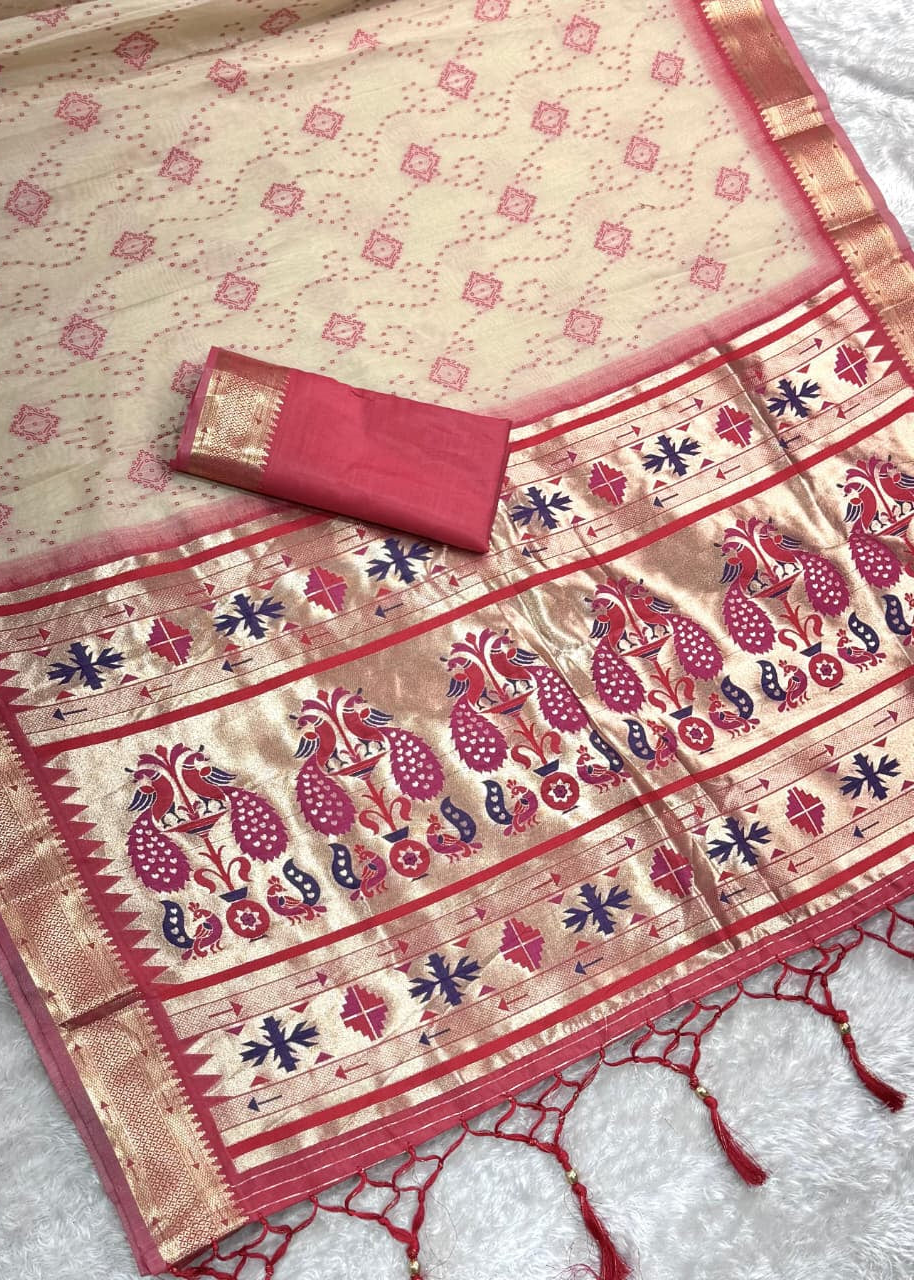 Traditional saree with intricate patterns on a light background