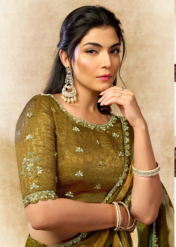 Woman wearing a traditional saree with a neutral background