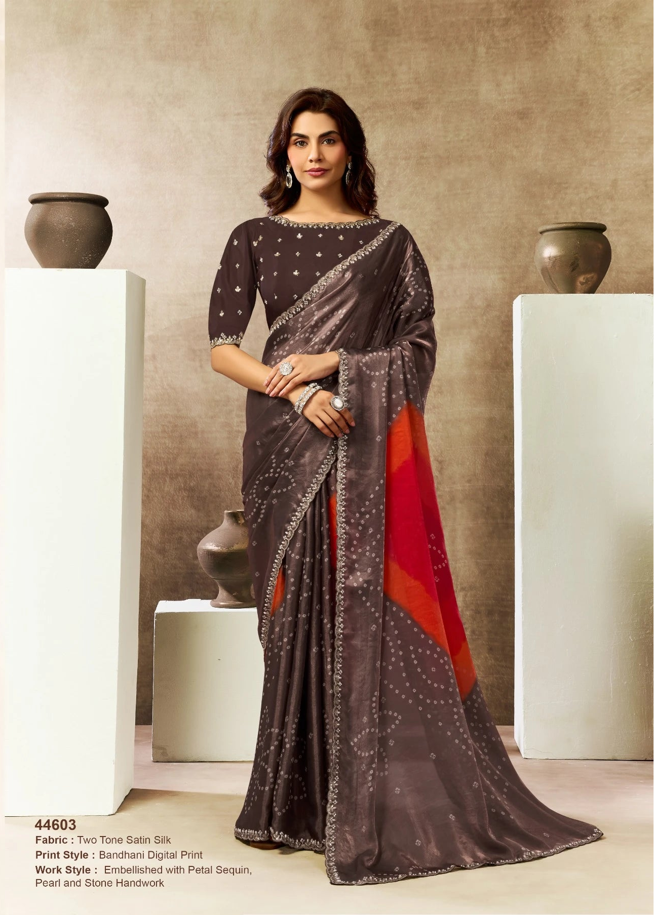 Woman wearing a saree with a neutral background