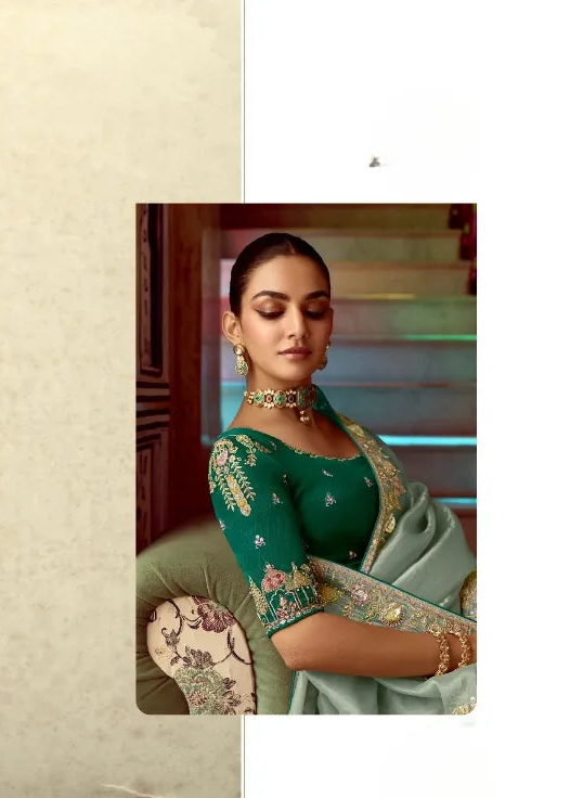 Traditional saree with intricate patterns and a close-up of a person wearing it.