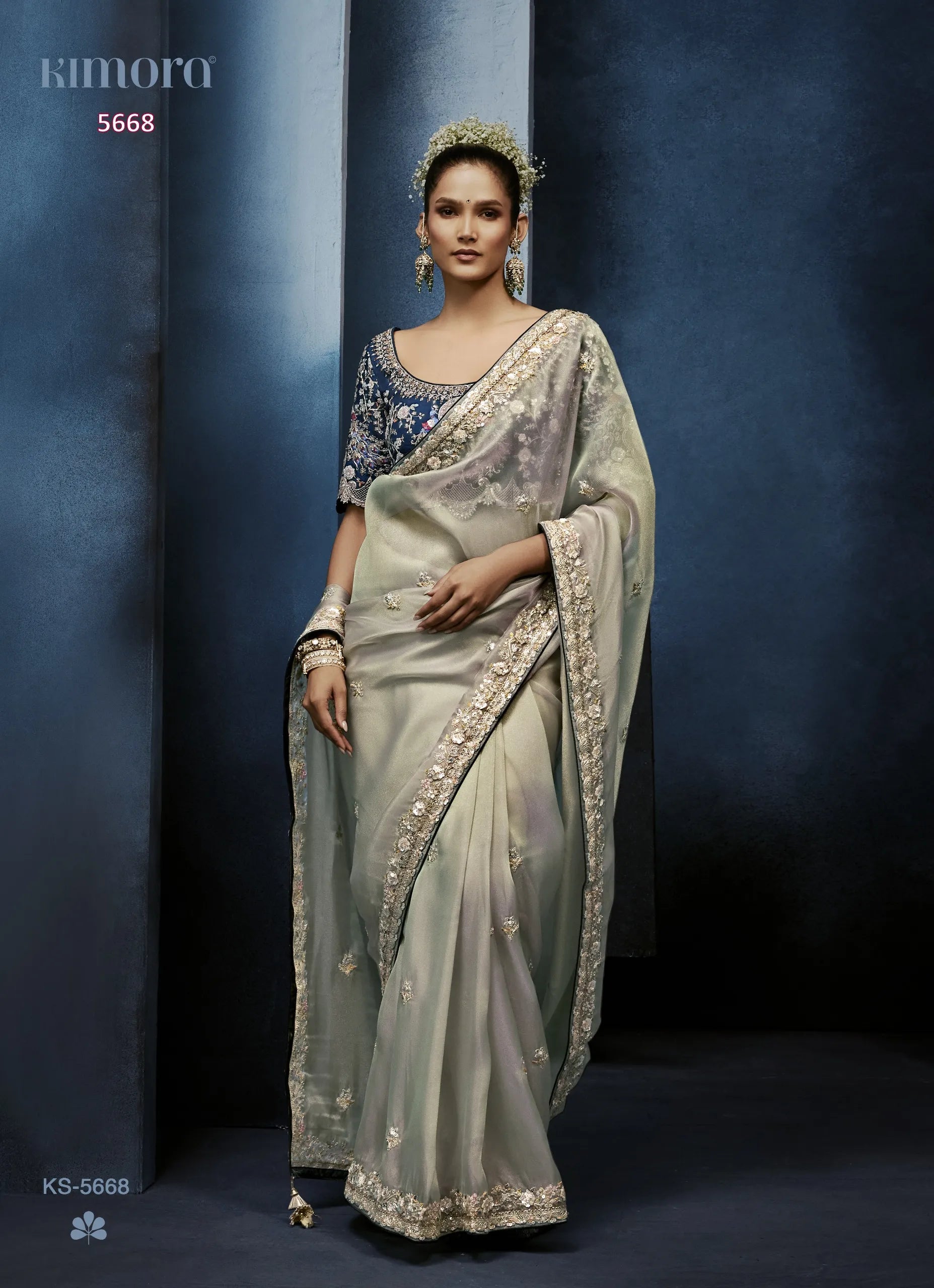 Silver Reverie Fancy Tissue Saree with 3D Floral Moti & Cut Dana Work — Ready Blouse